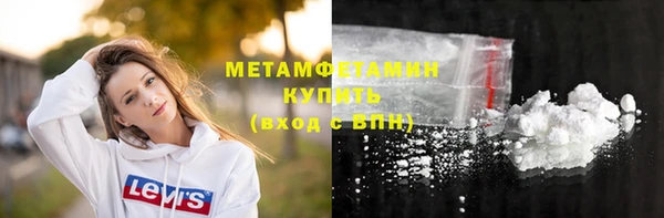 прущие грибы Няндома