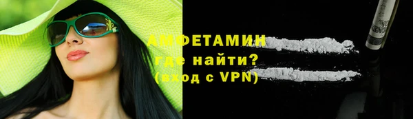 прущие грибы Няндома
