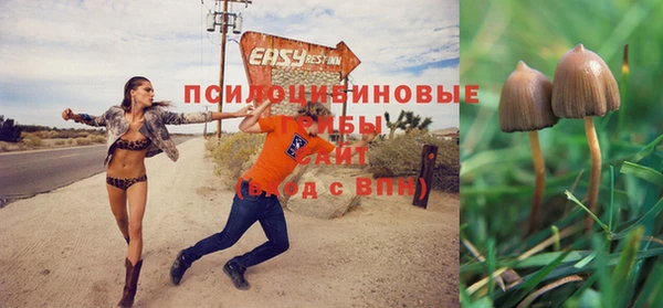 COCAINE Осинники