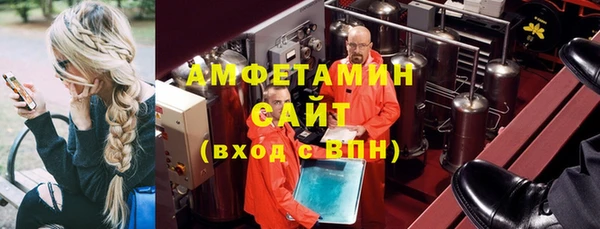 прущие грибы Няндома