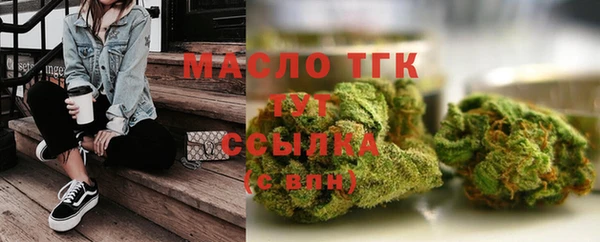 прущие грибы Няндома