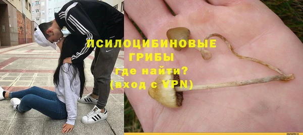 прущие грибы Няндома