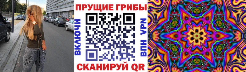 Псилоцибиновые грибы мухоморы  купить закладку  Саров 
