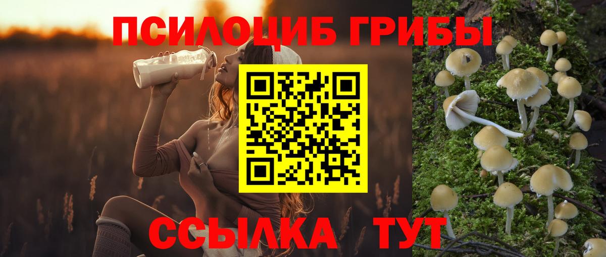 Саров  Псилоцибиновые грибы Psilocybe  Вход с VPN  Галлюциногенные грибы Psilocybe 